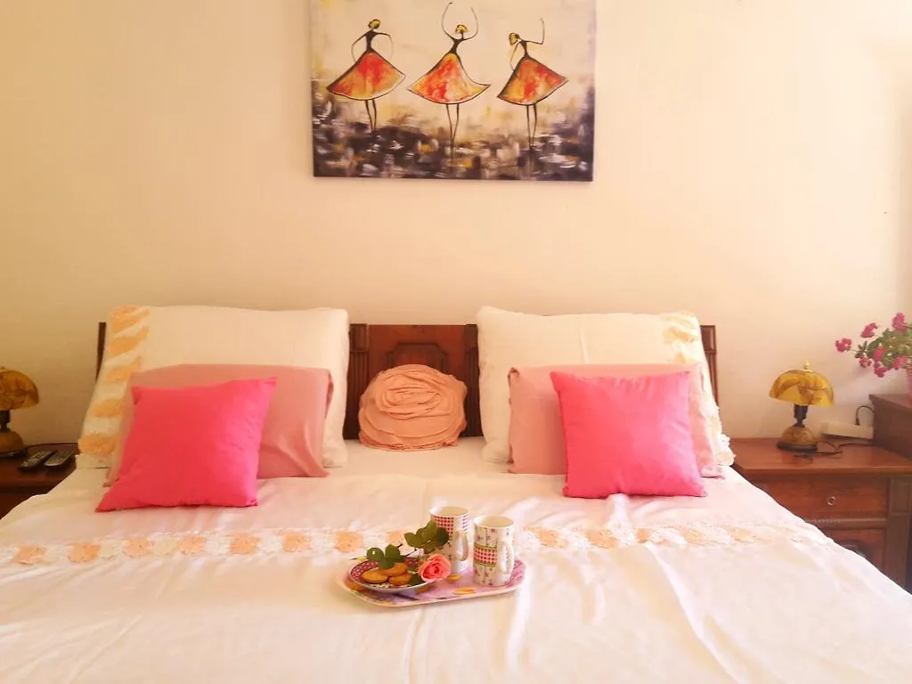 Gracia Apartments Funtana